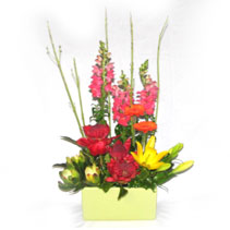 colourful vegetative trough