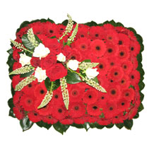 cushion of gerberas