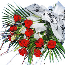 one dozen red roses