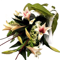 elegant lily wrap