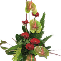 Photo of bouquets and posies