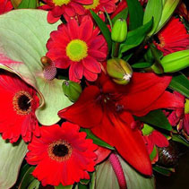 Photo of bouquets and posies