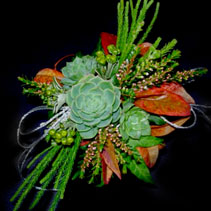 corsage