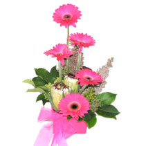 gerbera box