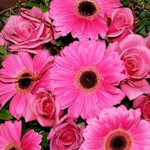 Photo of bouquets and posies