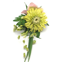 green zinnia buttonhole