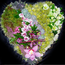 the heart