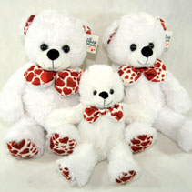 heart teddy