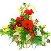 kiwi christmas kete