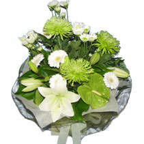 lime white vox