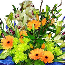 Photo of bouquets and posies