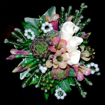 corsage