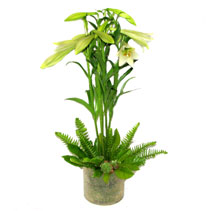 modern christmas lily arrangement