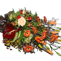 natural sheaf