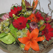 Photo of bouquets and posies