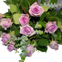 one dozen coloured roses