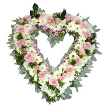 open heart