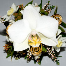 corsage