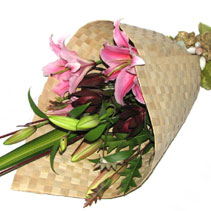 pacific style lilies