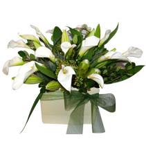 Photo of vases and voxes