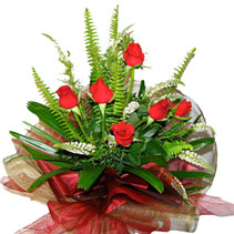 six red roses