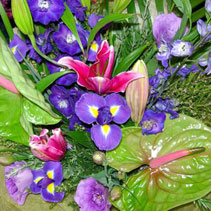 Photo of bouquets and posies