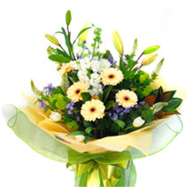 Photo of vases and voxes