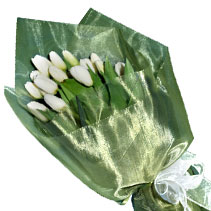 white tulips